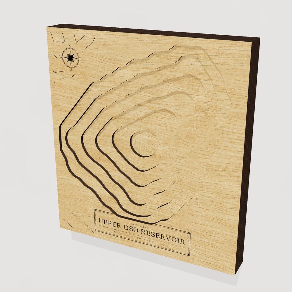 Upper Oso Reservoir 3D wood map, hero view