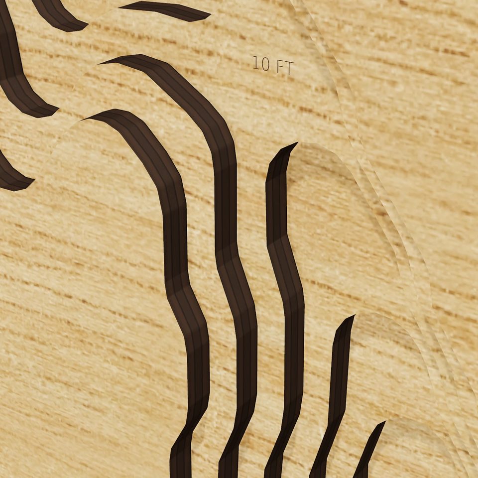 Upper Porter Pond 3D wood map, detail view