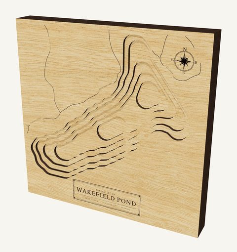 Wakefield Pond wood map