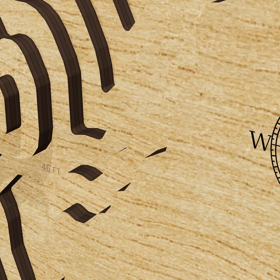 Waldo Lake 3D wood map, detail view