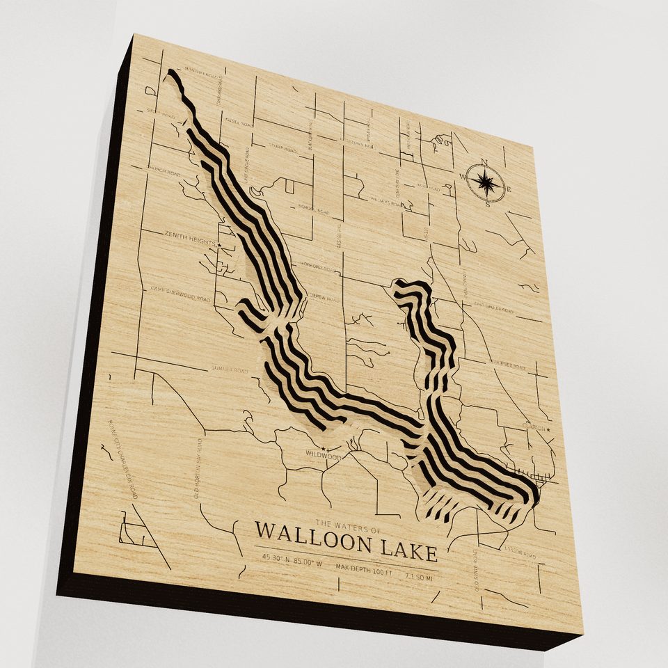 Walloon Lake 3D wood map, angle low view