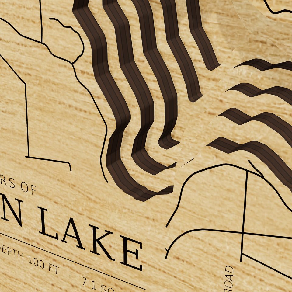 Walloon Lake 3D wood map, detail view