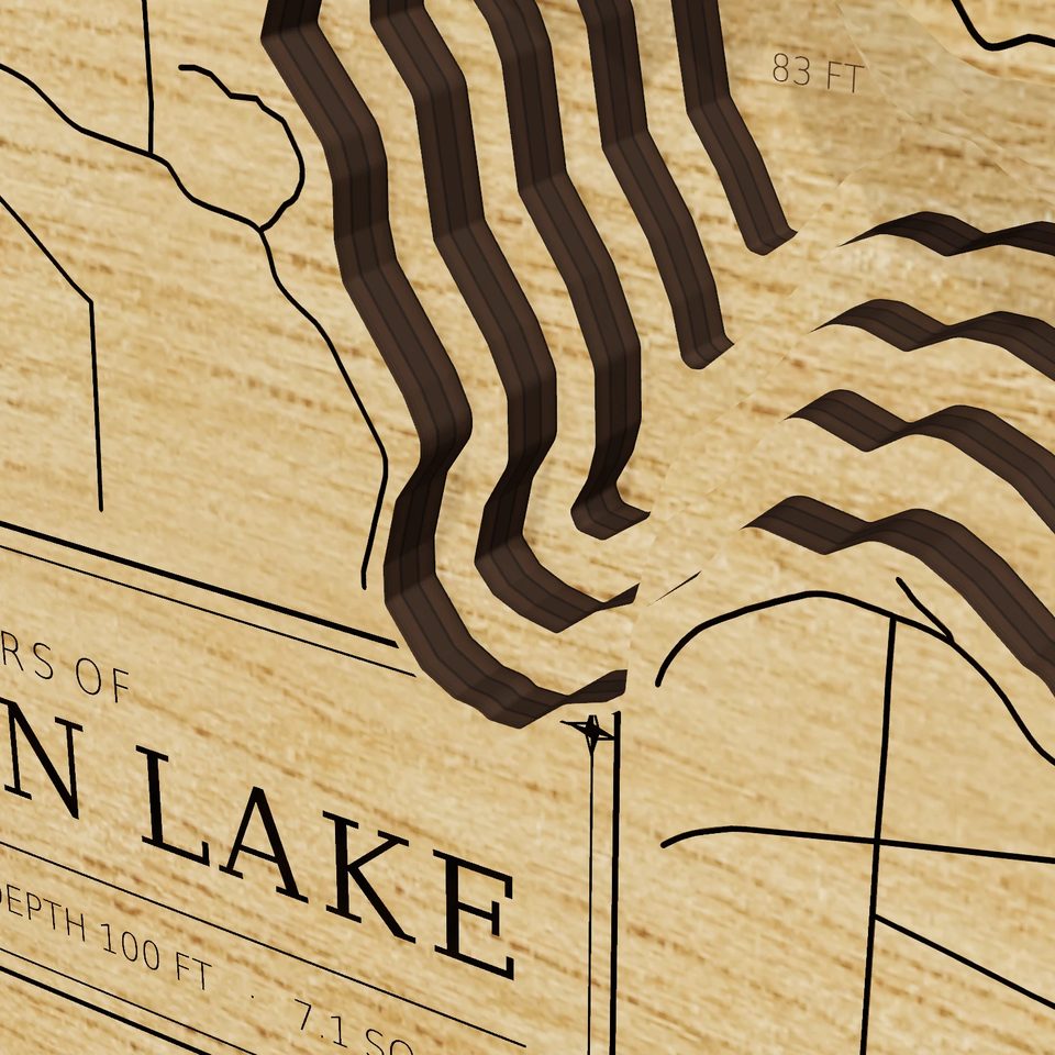 Walloon Lake 3D wood map, detail view