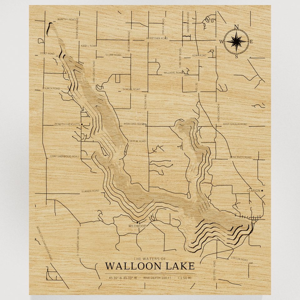 Walloon Lake 3D wood map, front view