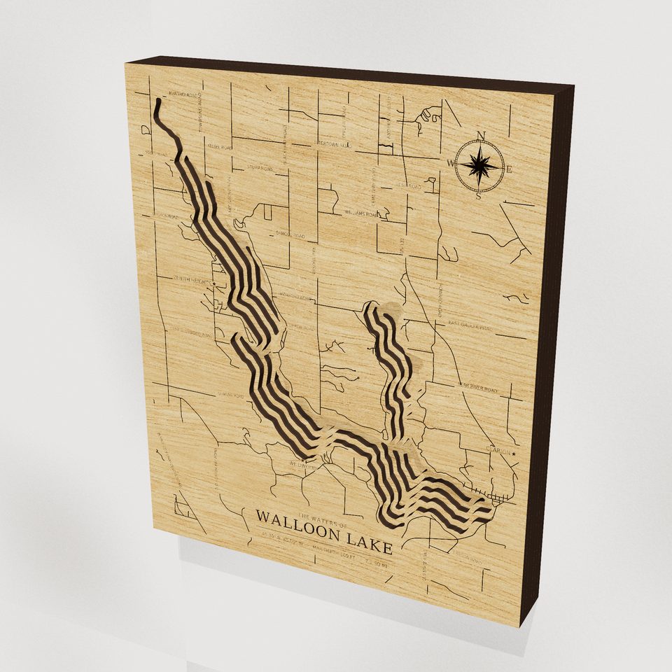 Walloon Lake 3D wood map, hero view