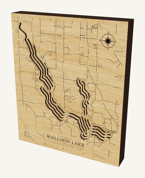 Walloon Lake wood map