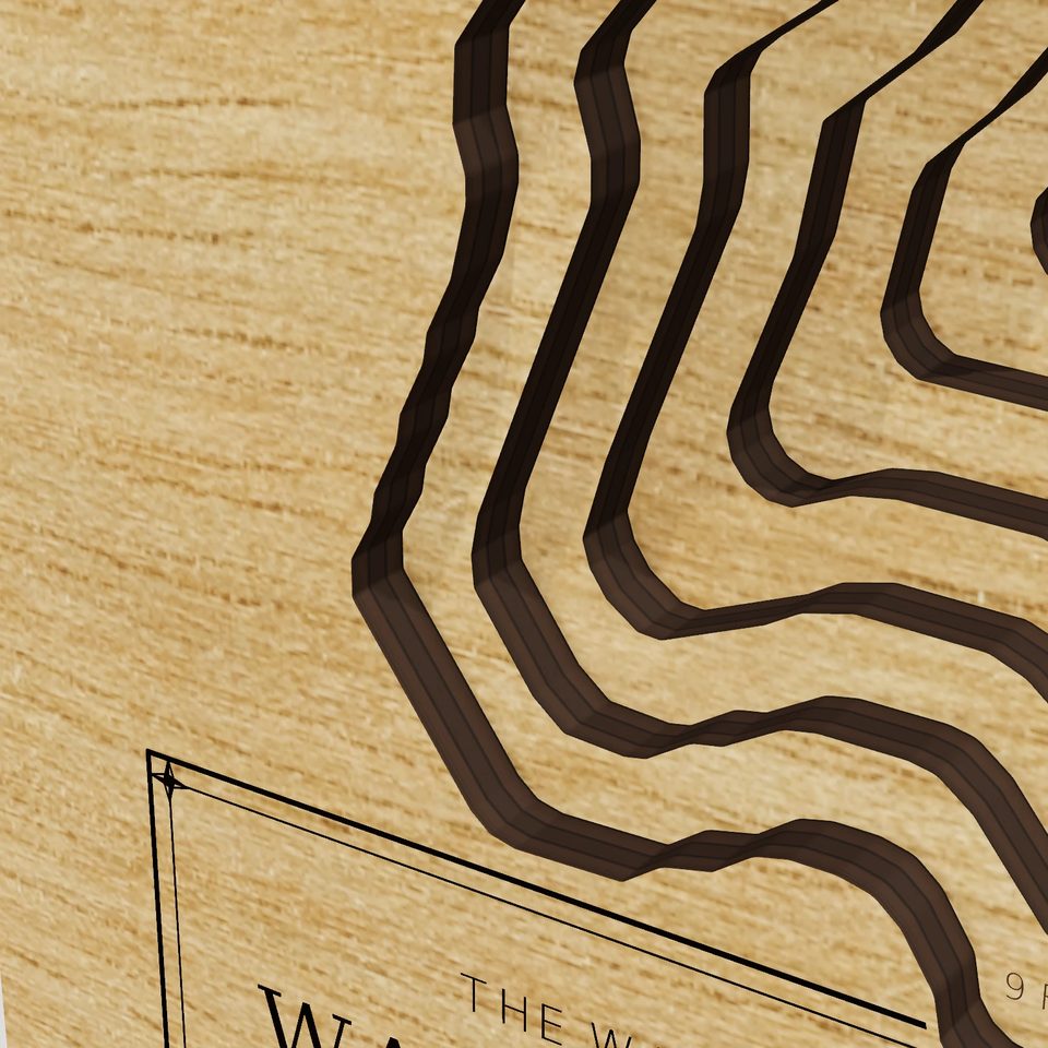 Wallum Lake 3D wood map, detail view
