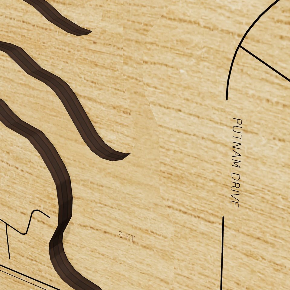 Walnut Lake 3D wood map, detail view