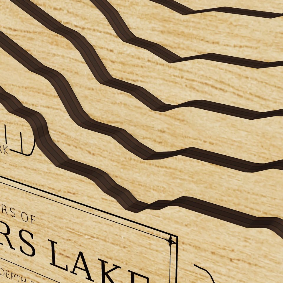 Wamplers Lake 3D wood map, detail view