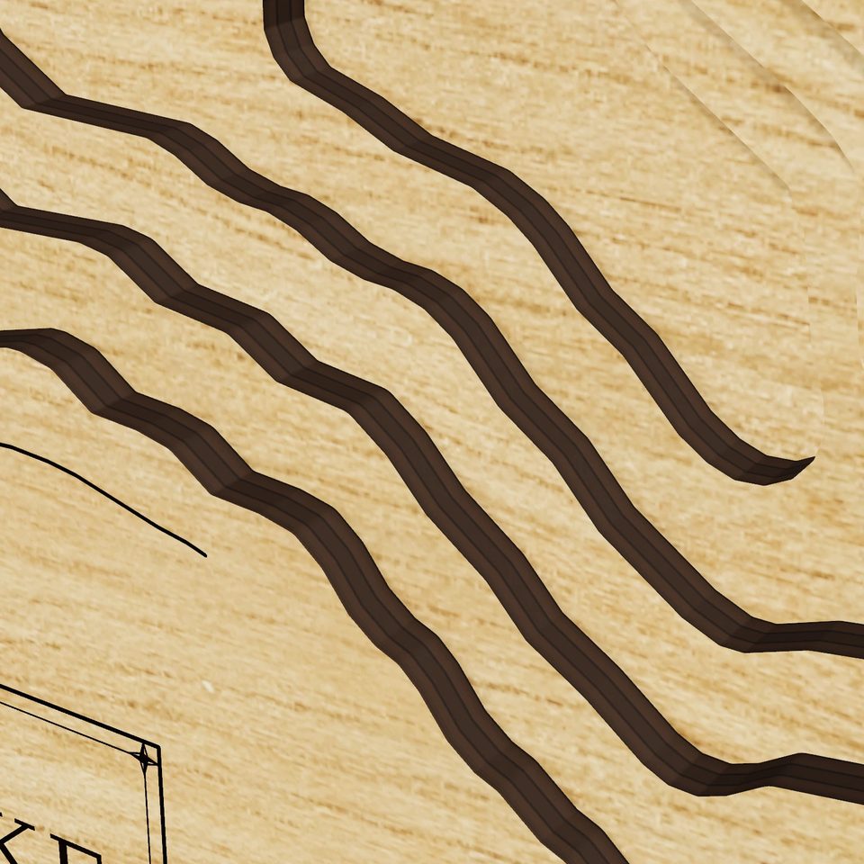 Wanaksink Lake 3D wood map, detail view