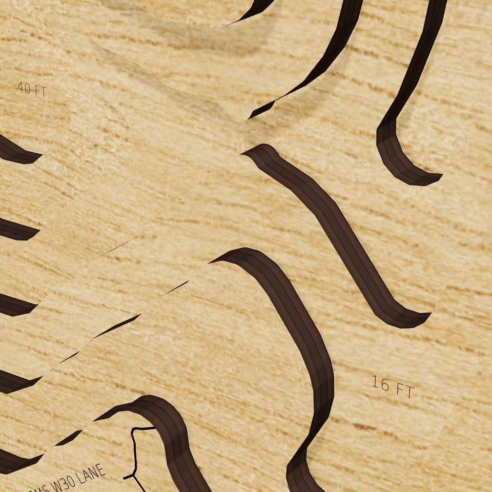 Webster Lake 3D wood map, detail view