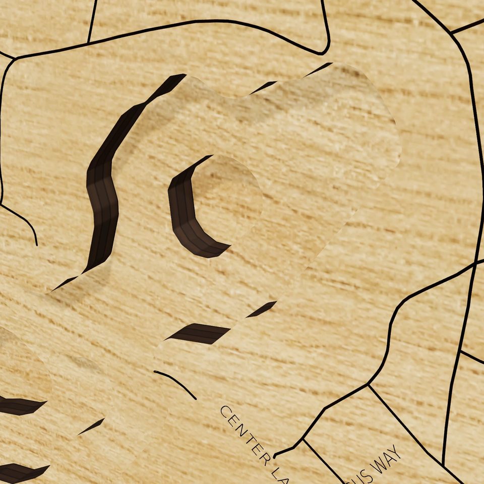 Wequaquet Lake 3D wood map, detail view