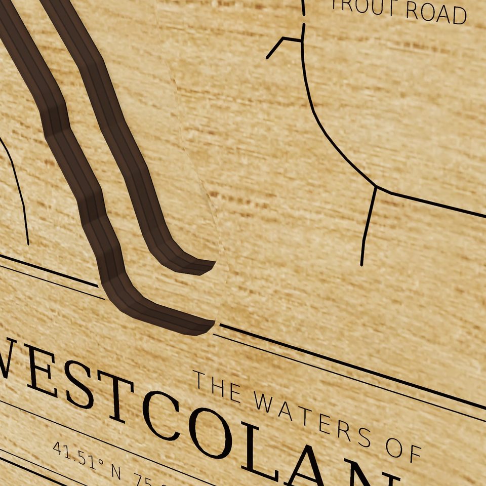 Westcolang Pond 3D wood map, detail view