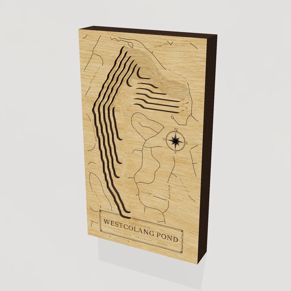 Westcolang Pond 3D wood map, hero view