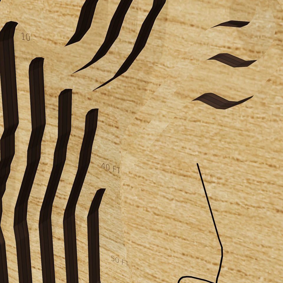Whaley Lake 3D wood map, detail view