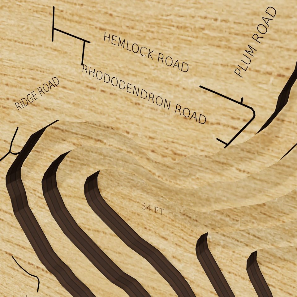 White Lake 3D wood map, detail view