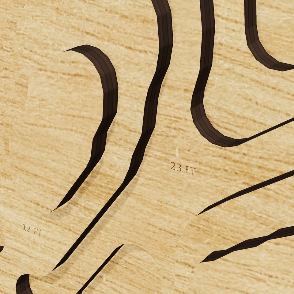 White Oak Pond 3D wood map, detail view