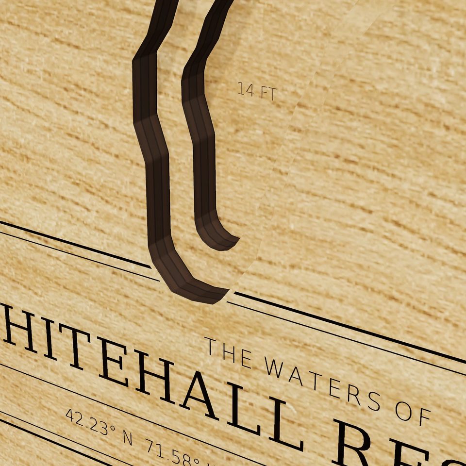 Whitehall Reservoir 3D wood map, detail view