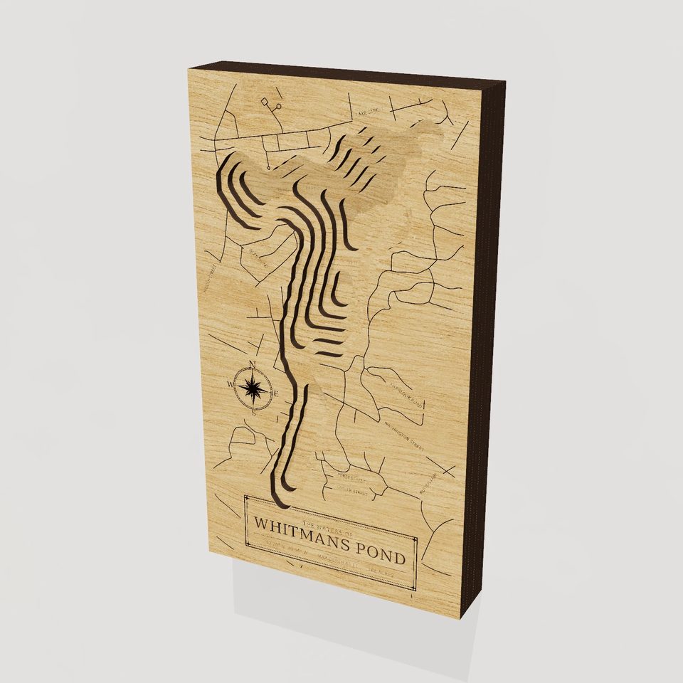 Whitmans Pond 3D wood map, hero view