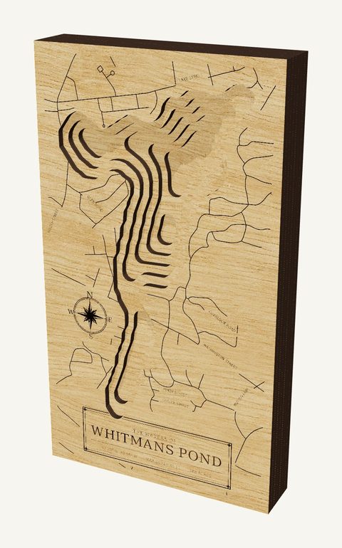 Whitmans Pond wood map