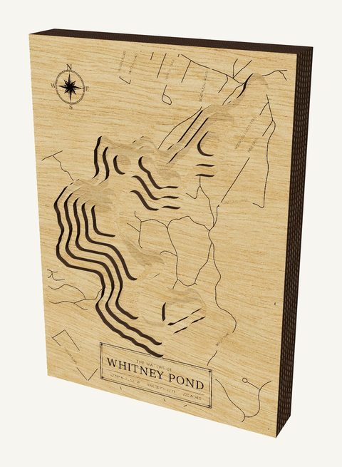 Whitney Pond wood map