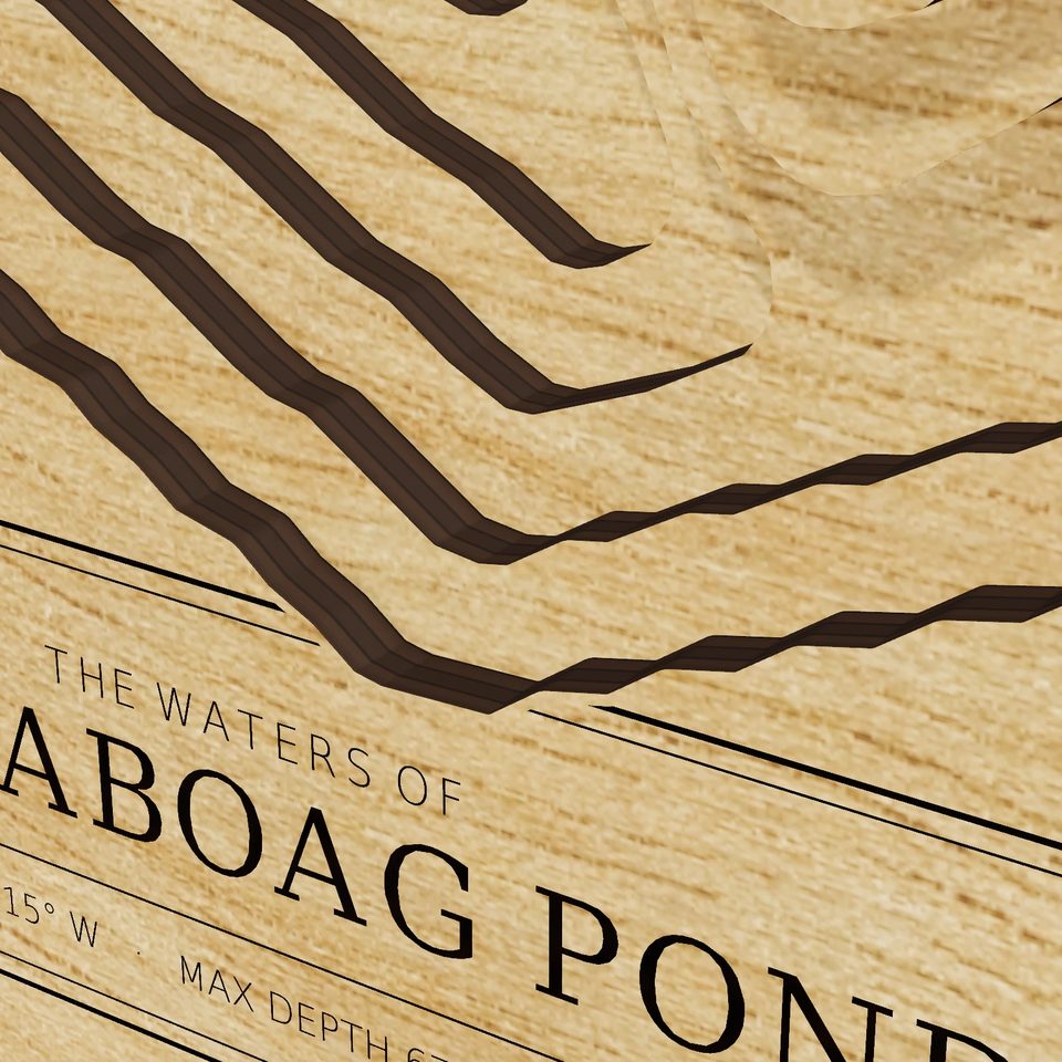 Wickaboag Pond 3D wood map, detail view