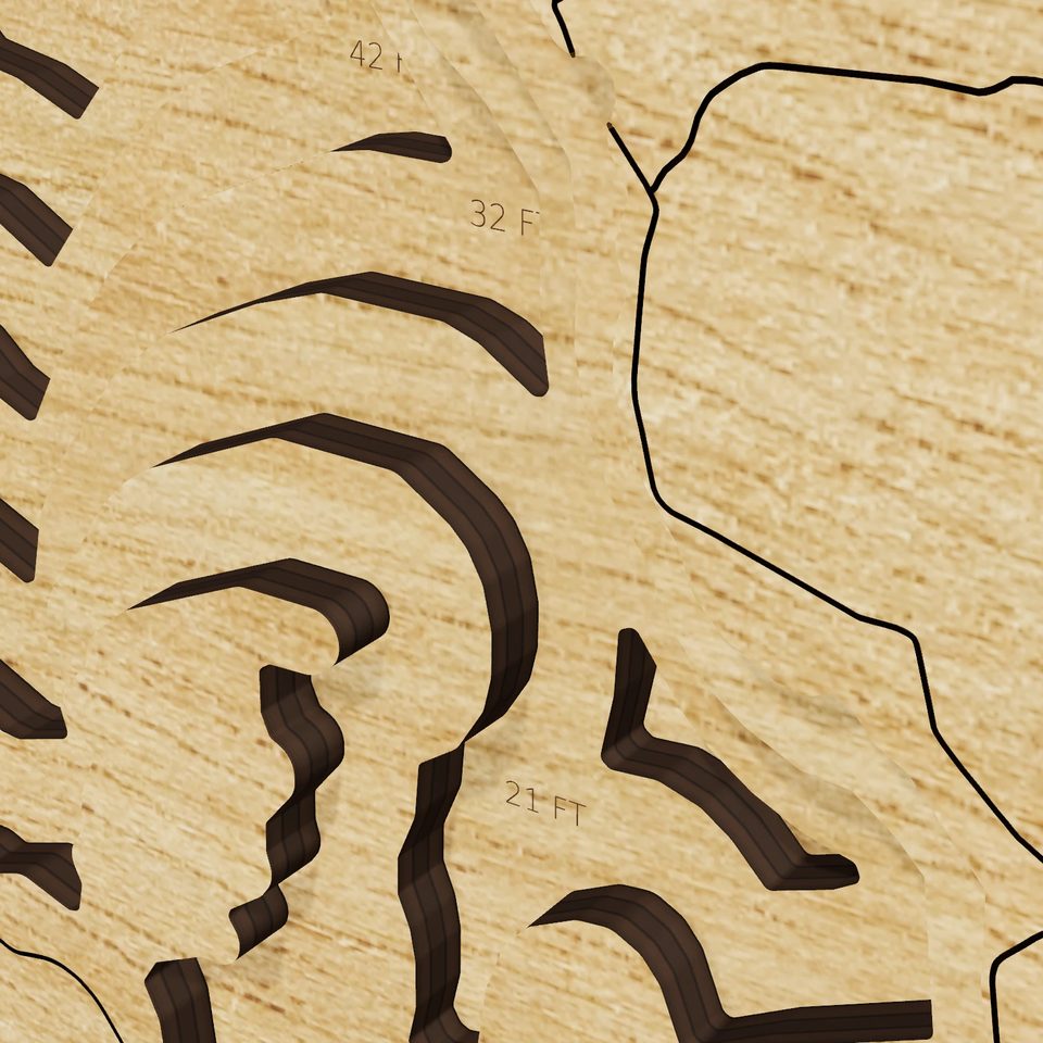 Wickiup Reservoir 3D wood map, detail view