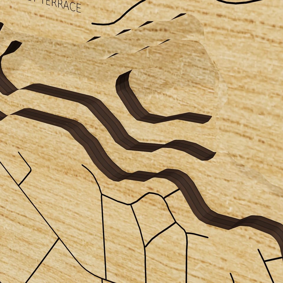 Williams Lake 3D wood map, detail view
