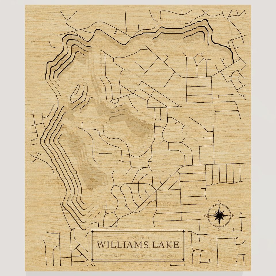 Williams Lake 3D wood map, front view