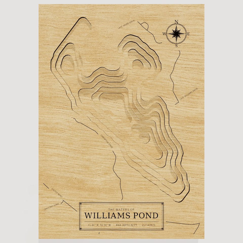 Williams Pond 3D wood map, front view