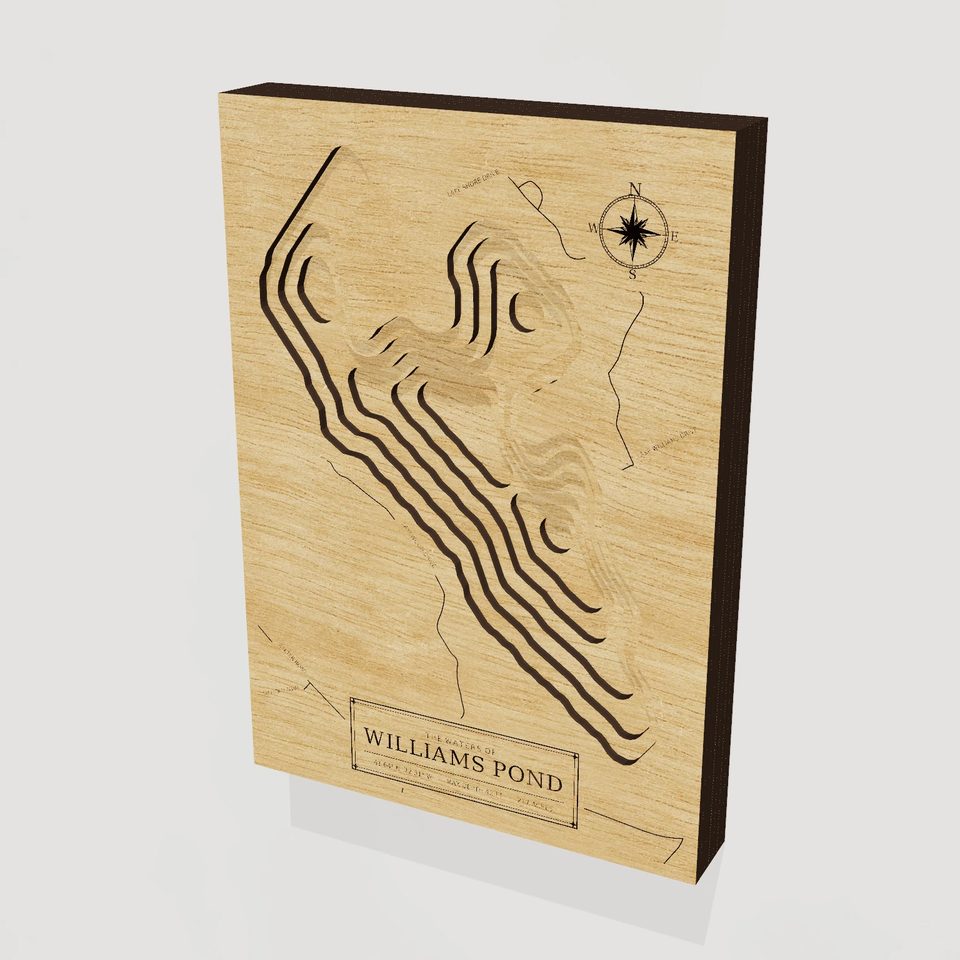 Williams Pond 3D wood map, hero view