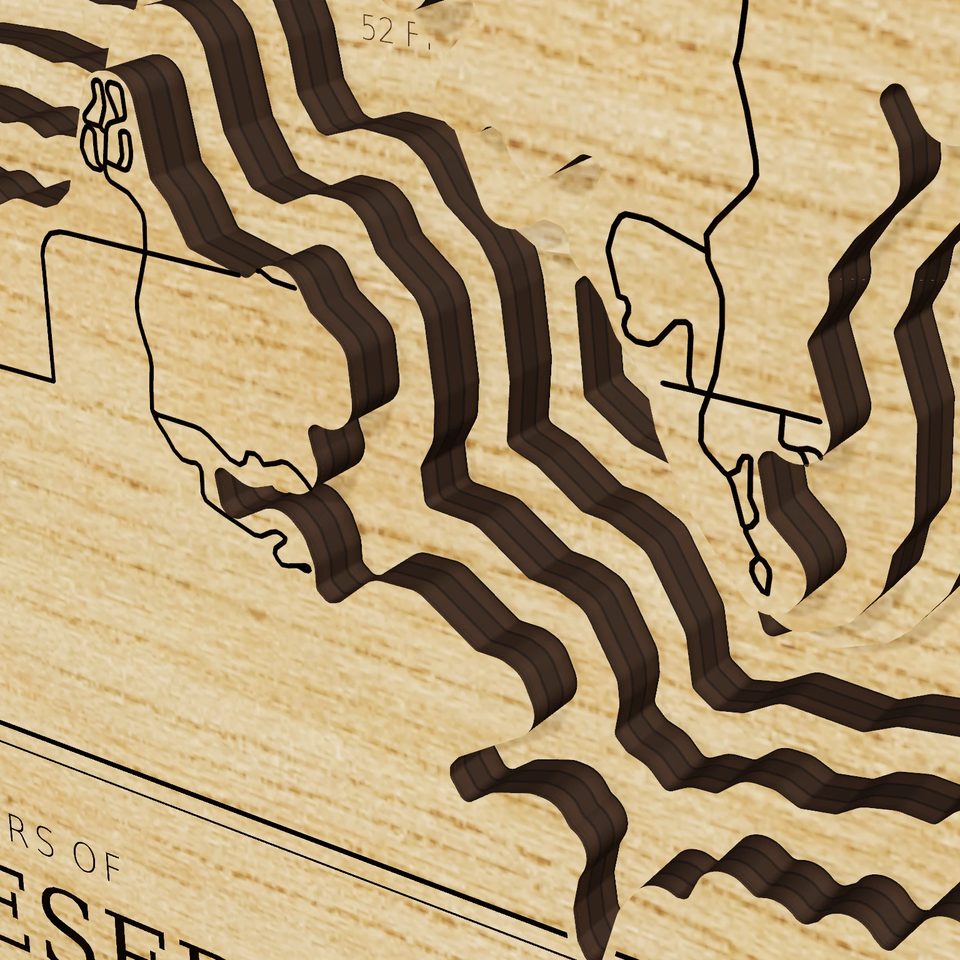 Wilson Reservoir 3D wood map, detail view