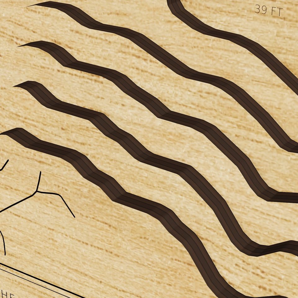 Wolf Lake 3D wood map, detail view