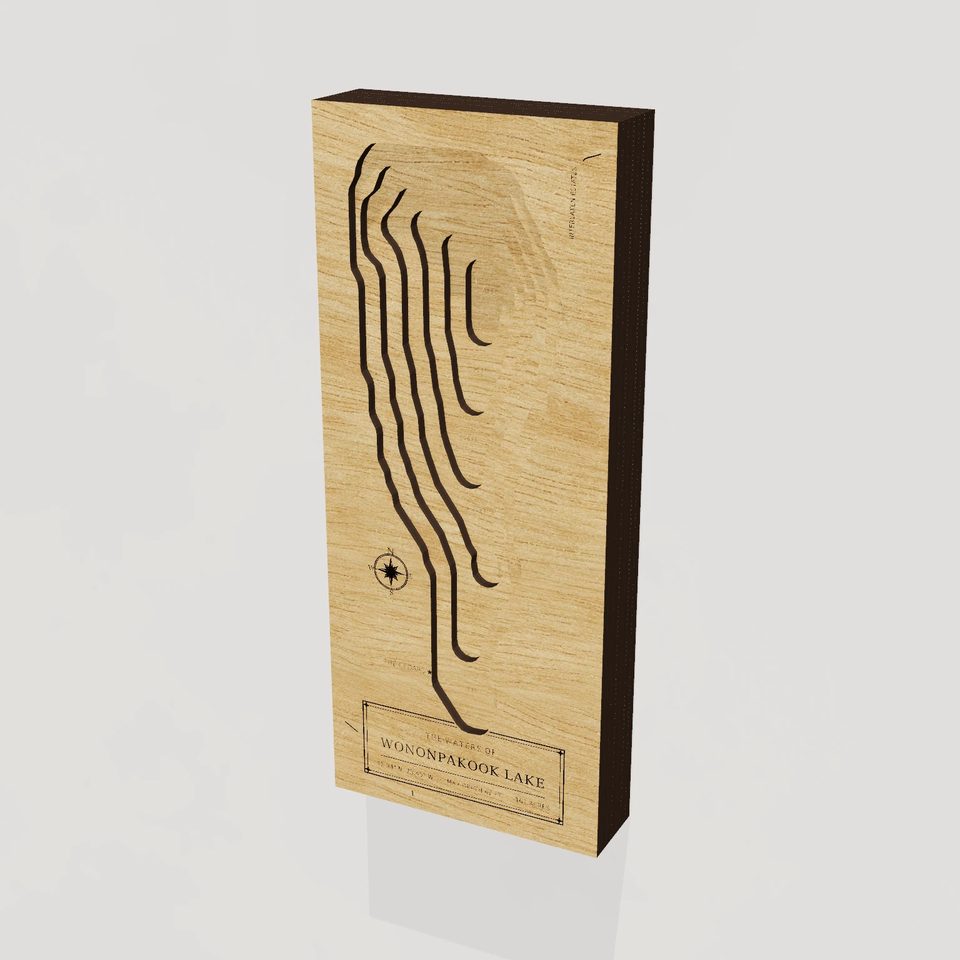 Wononpakook Lake 3D wood map, hero view