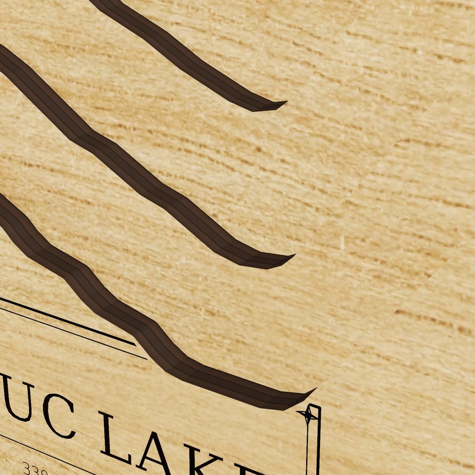 Wononskopomuc Lake 3D wood map, detail view