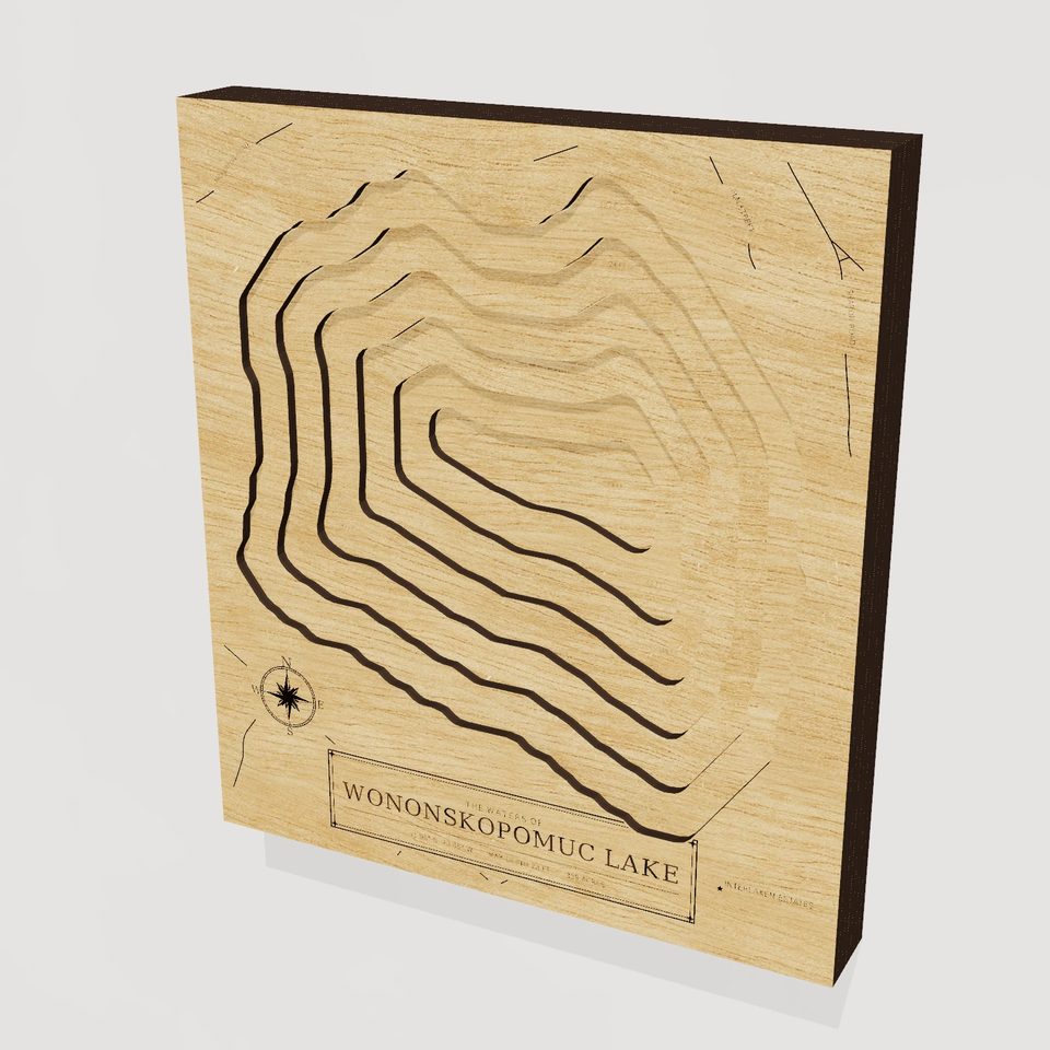 Wononskopomuc Lake 3D wood map, hero view