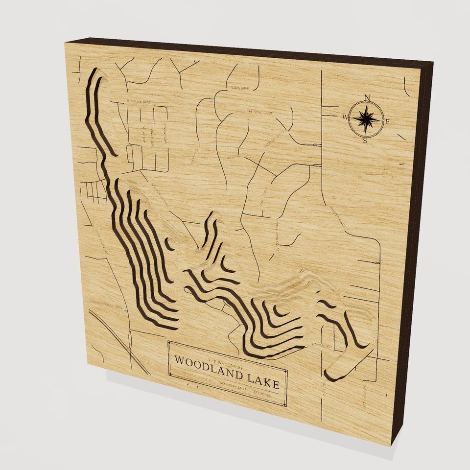 Woodland Lake 3D wood map, hero view