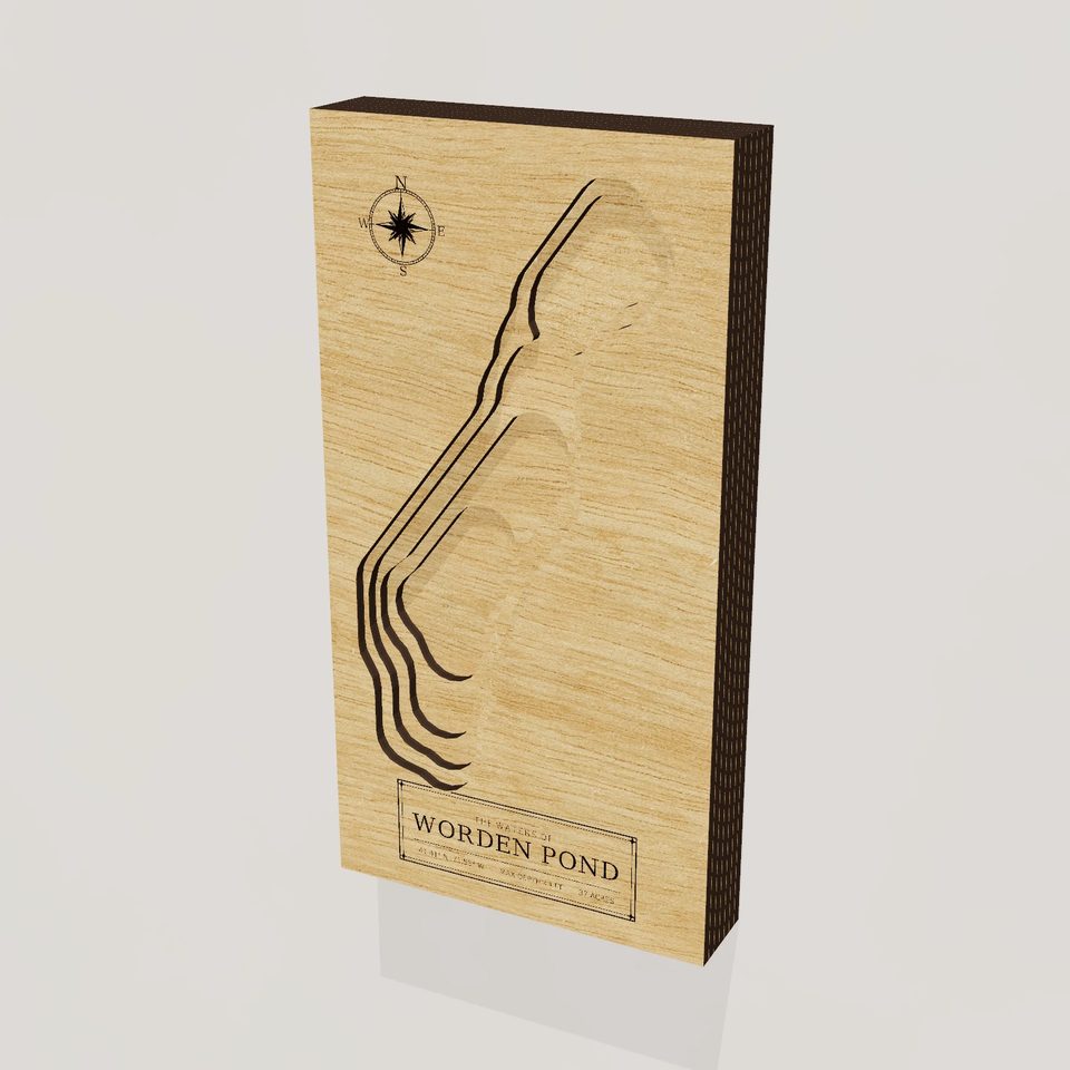 Worden Pond 3D wood map, hero view
