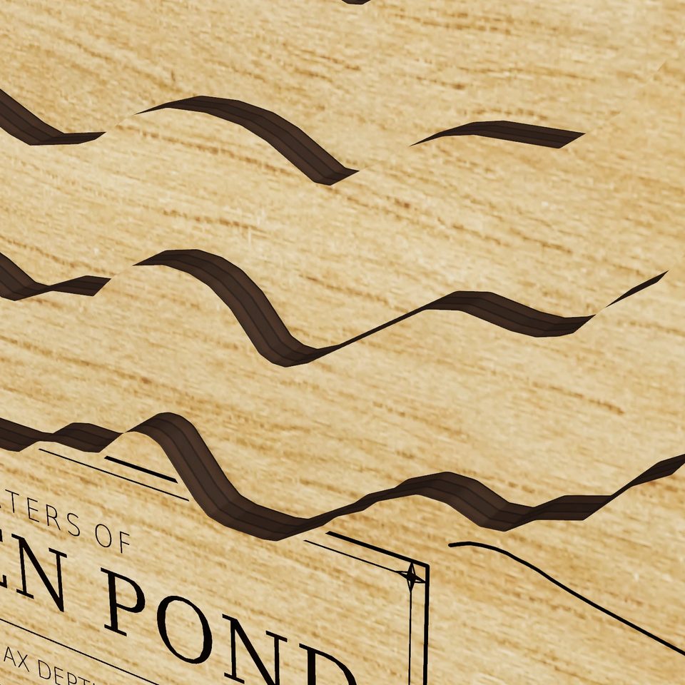 Worden Pond 3D wood map, detail view