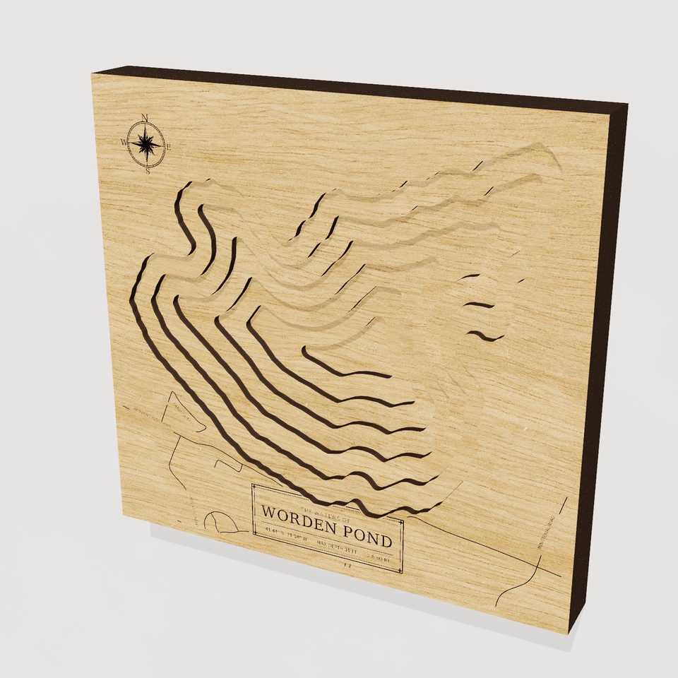 Worden Pond 3D wood map, hero view