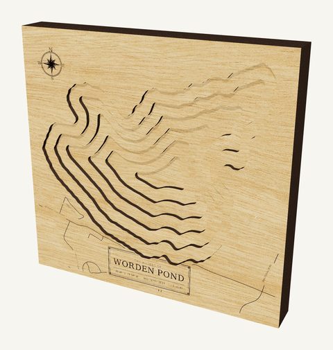 Worden Pond wood map