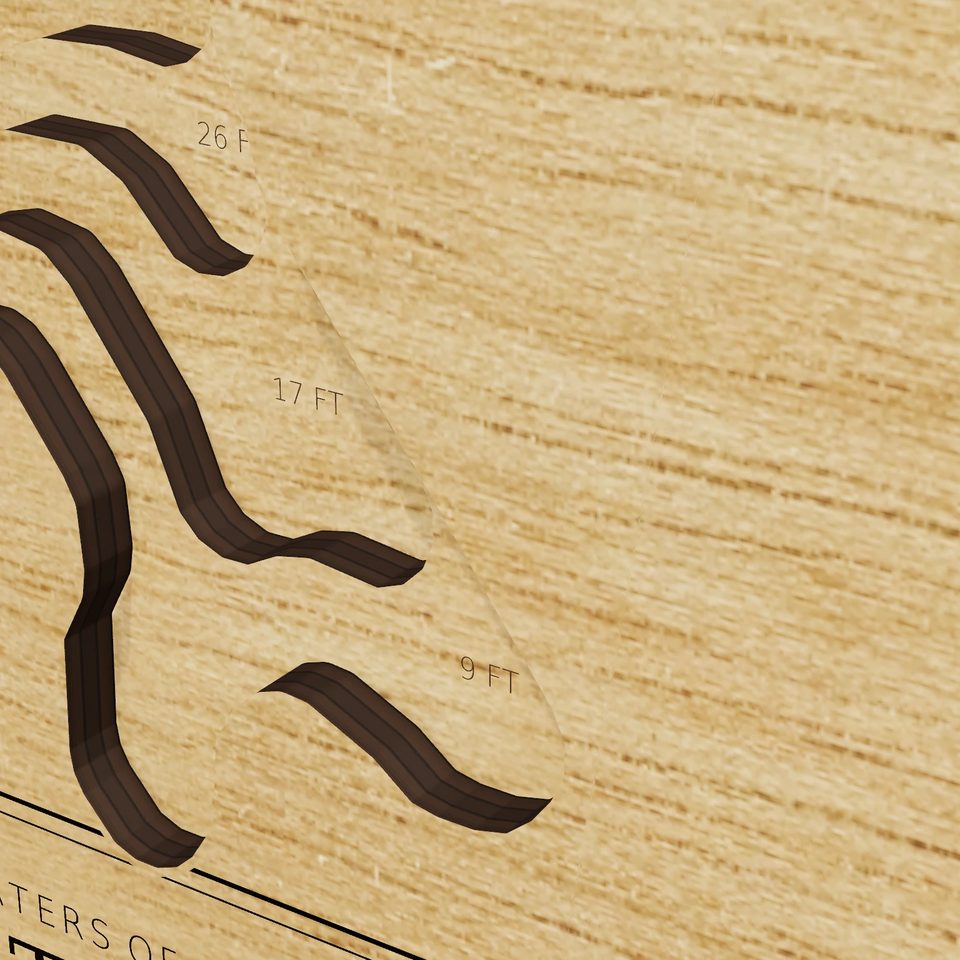 Wright Pond 3D wood map, detail view