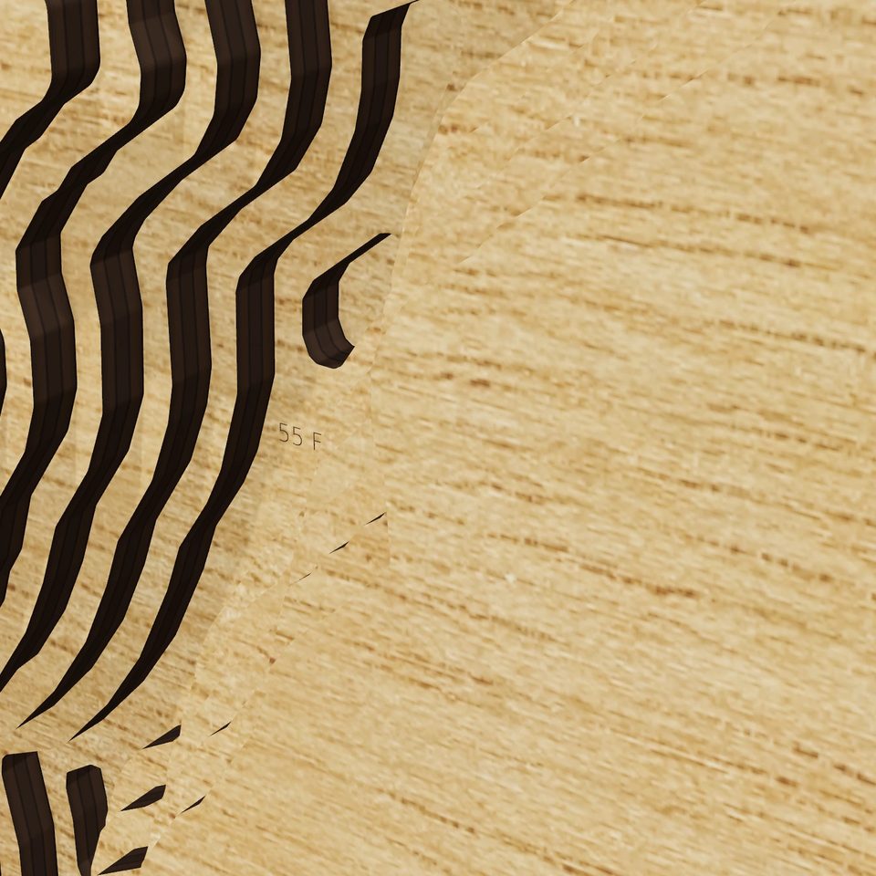 Wynoochee Lake 3D wood map, detail view