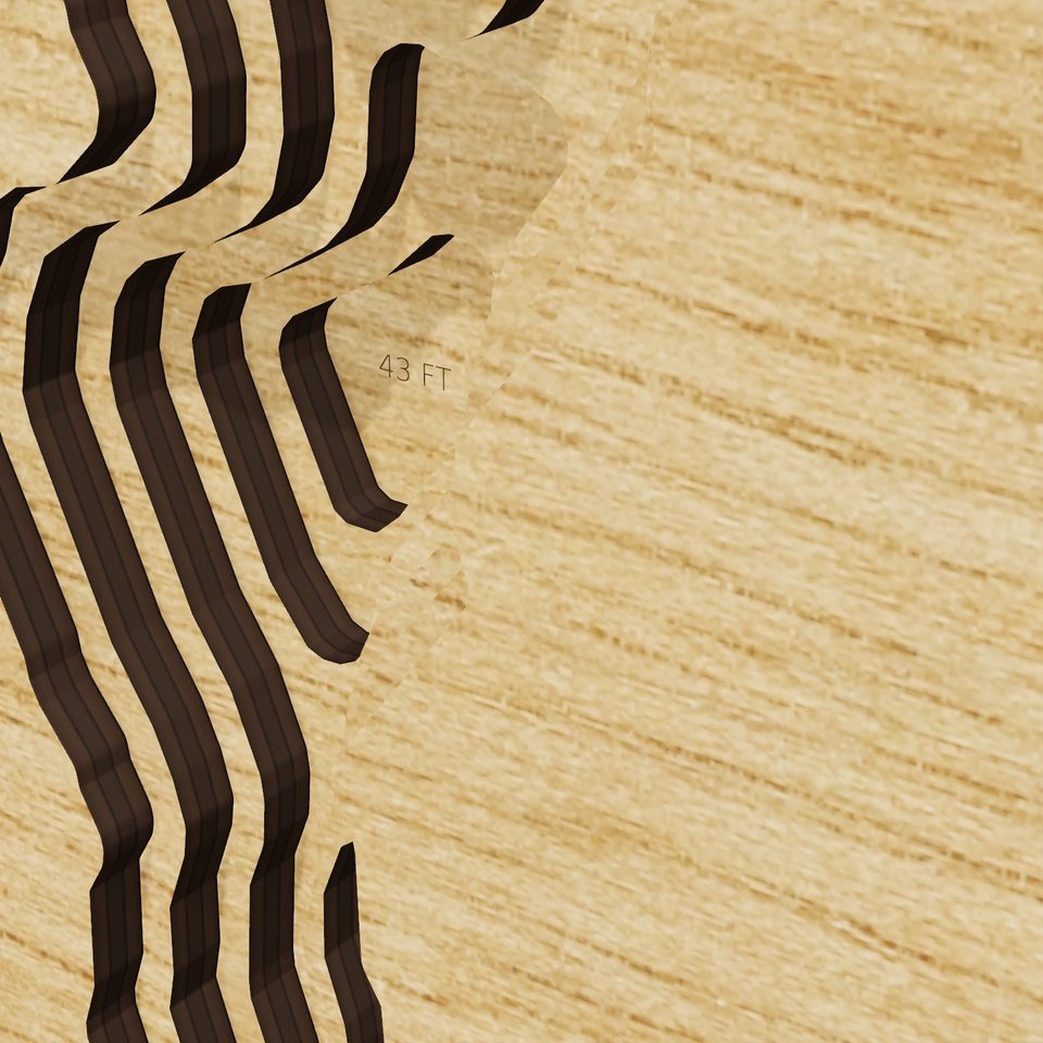 Yonah Lake 3D wood map, detail view
